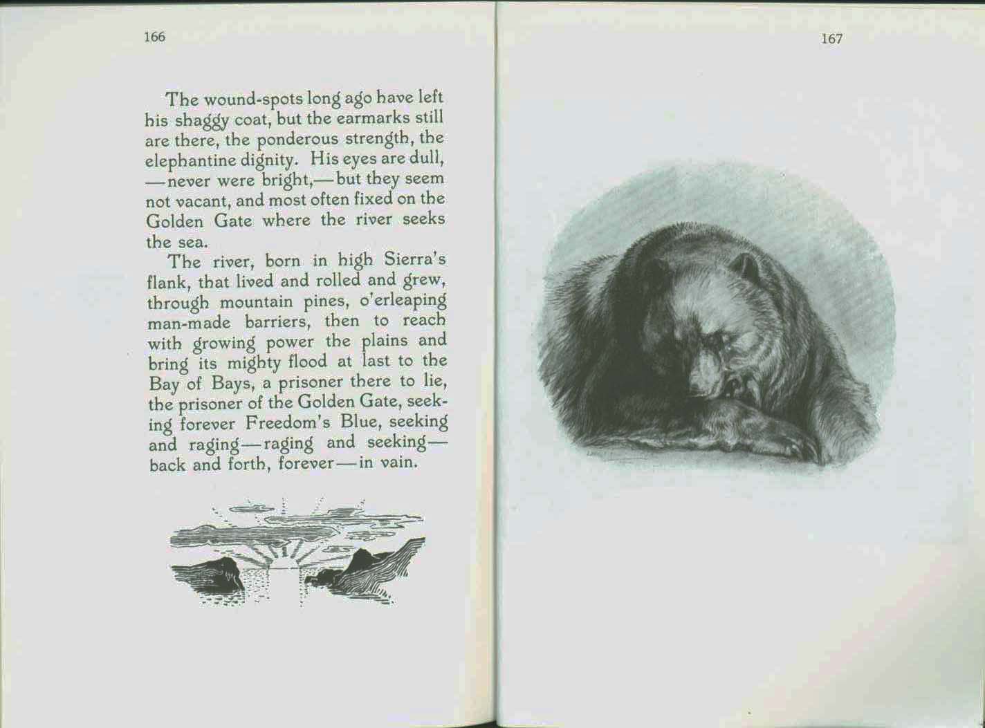 MONARCH, the Big Bear of Tallac in the Lake Tahoe High Sierra.&nbsp;vist0040k